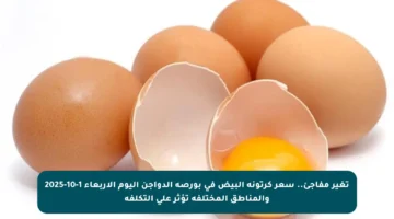 تغير مفاجئ.. سعر كرتونة البيض في بورصة الدواجن اليوم الأربعاء 1-10-2025 والمناطق المختلفة تؤثر على التكلفة